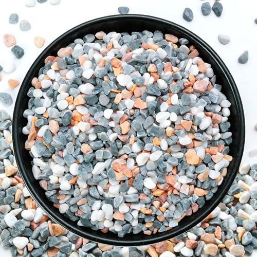 RUOJAS Piedras de colores mixtos de 2.2 libras para plantas, rocas decorativas de 1/5 pulgada para plantas en maceta, guijarros pulidos naturales para jarrones, suculentas, macetas, drenaje de
