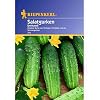 Kiepenkerl Salatgurke DelikateÃŸ