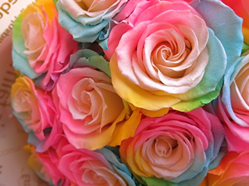 【高級プリザーブドフラワー】プリザーブドフラワーレインボーローズの花束３０本セッ レインボーローズ プリザーブドフラワー入り カラフルローズ 花束風
