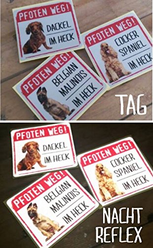 Siviwonder Autoaufkleber Welsh Terrier im Heck reflektierende Reflexfolie Hinweis Hund im Auto 9 x 8 cm Sticker für Heckscheibe Heckklappe Stossstange nachts Hundeaufkleber Kombi SUV Van Wohnmobil Pkw