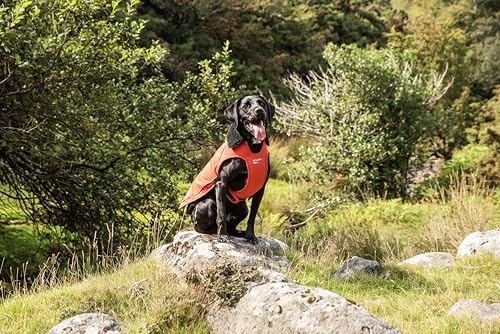 Capa impermeable de perro en Cordura de alta resistencia Mountain Paws L 5