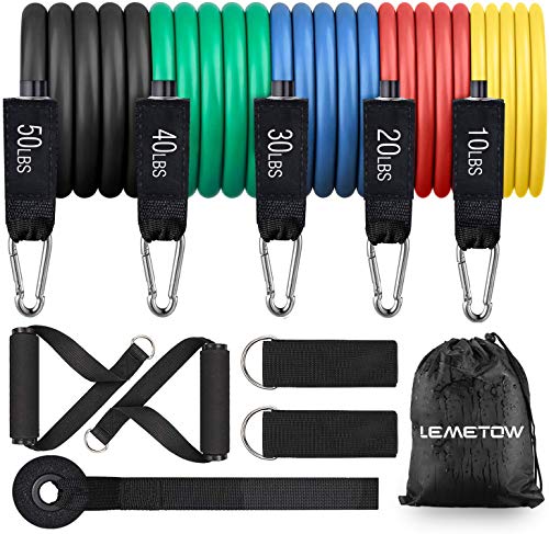 LEMETOW Resistance Bands Set (11pcs), Workout Bands Door Anchor, Handles, Waterproof Carry Bag, Legs Ankle Straps for Resistance Training, Physical Therapy, Home Workouts, Ankle Straps