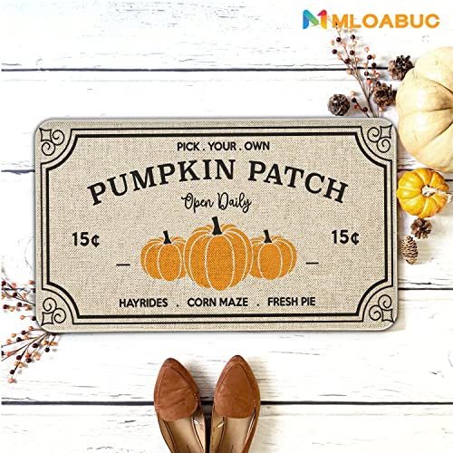 Mloabuc Fall Decor Door Mat 17X30 Inch Fall Farmhouse Pumpkin Patch Mat Fall Decorate Seasonal Fall Thanksgiving Country Floor Mat Switch Mat For Indoor Outdoor 17X30 Inch #TOP7
