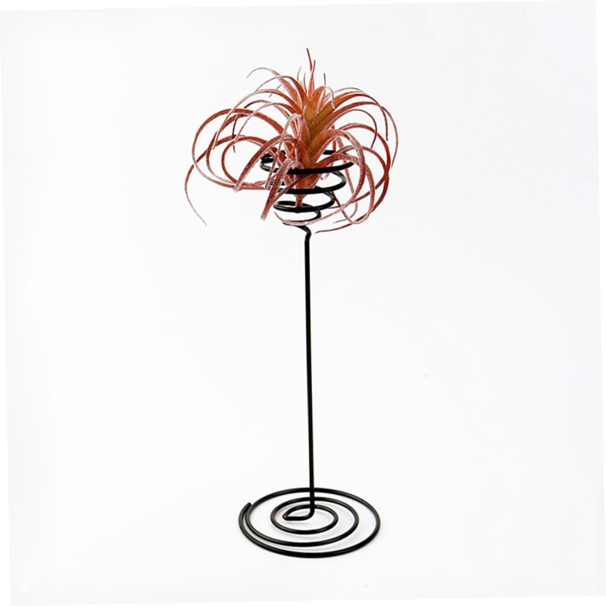 Kisangel Air Pineapple Display Rack Iron Flower Stand for Micro Landscape image 5