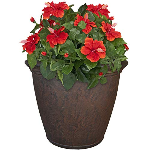 Sunnydaze-Anjelica-Flower-Pot-Planter-OutdoorIndoor-Unbreakable-Double-Walled-Polyresin-with-UV-Resistant-Rust-Finish-Single-Large-24-Inch-Diameter Sunnydaze-Anjelica-Flower-Pot-Planter-OutdoorIndoor-Unbreakable-Double-Walled-Polyresin-with-UV-Resistant-Rust-Finish-Single-Large-24-Inch-Diameter