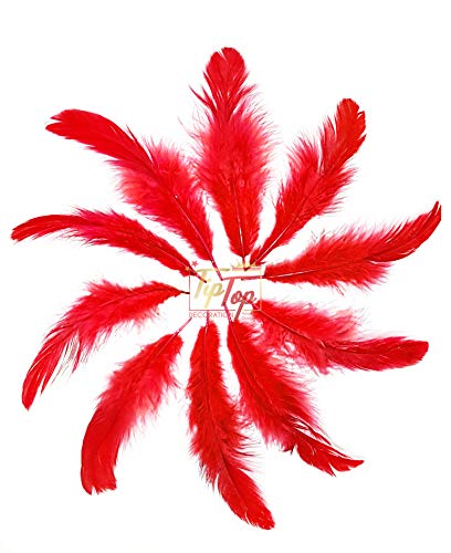 Image of Natural Dyed Feathers 10 cm (80 pieces) (Dark Red)