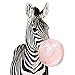 Produktbild Iejsgfj DIY ölgemälde Malen nach Zahlen Zebrablase Malen nach Zahlen Kits DIY Kein Rahmen Gemälde durch Geschenk für Erwachsene Kinder Vorgedruckt Leinwand Home Haus Dekor