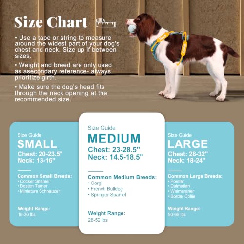 Image of Didog No Pull Dog Harness for Medium Dogs, Classic PU Leather, Light Blue,M