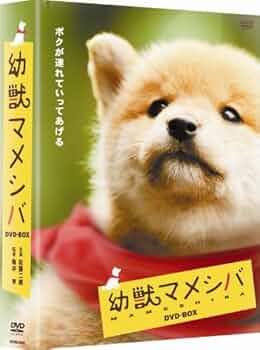 Amazon.co.jp: 幼獣マメシバ DVD-BOX : 佐藤二朗, 高橋洋, 藤田