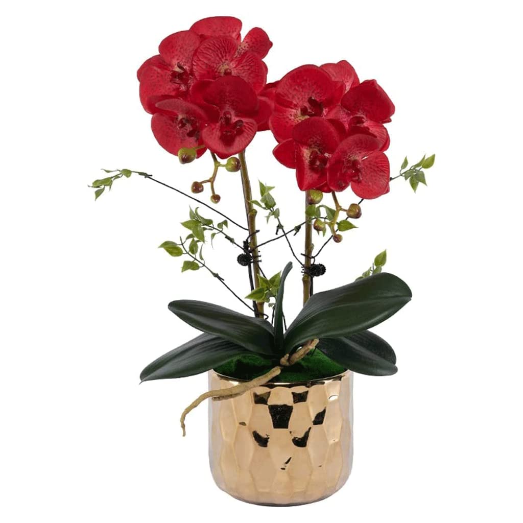 Orchidées Fleurs Artificielles Orchidées Fleurs Artificielles Phalaenopsis avec Pot Garder Les Pétales Pleins et Doux Les Fleurs Artificielles Restent Fraîches Belle Apparence Naturelle