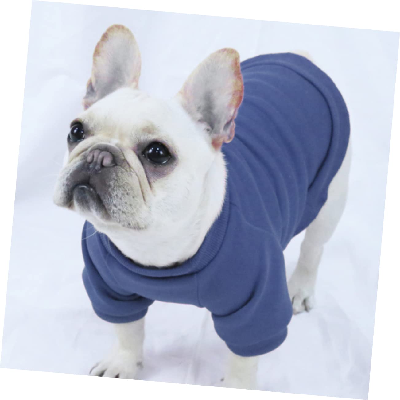 POPETPOP 5 Pezzi Adorabile Cucciolo Giacca Cane Felpa Traspirante Caldo Abbigliamento Per Animali Domestici Cucciolo Cappotto Per Esterni