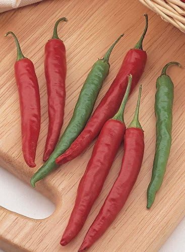 JustSeed - Pepper (Chilli) - Chiang Rai - 15