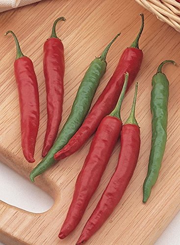 JustSeed - Pepper (Chilli) - Chiang Rai - 15 Seeds
