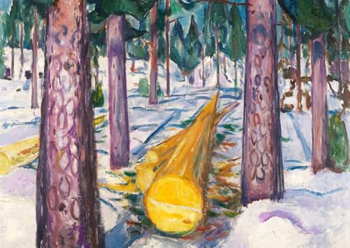 N Fۑ A1(594o×841ojA[g|X^[{ G CeA ǎ