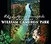 William Cameron Park: A Centennial History, 1910-2010 (Big Bear Books)