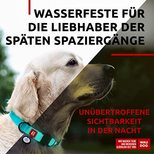 WAUDOG Wasserfest Verstellbares Hundehalsband für Große, Mittelgroße und Kleine Hunde - Metall Verschluss