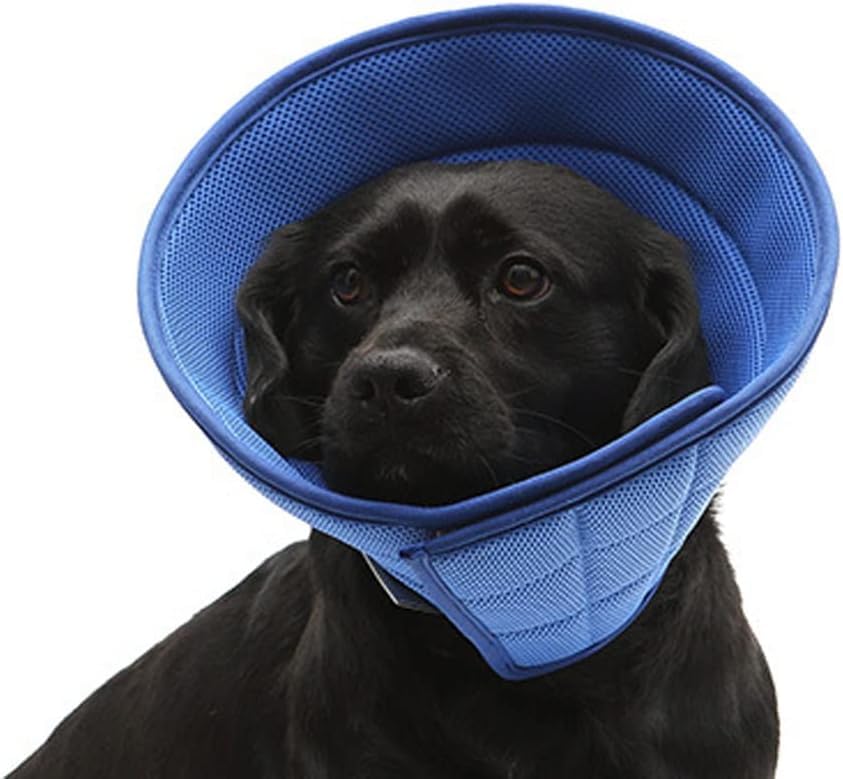 HanryDong Dog Elizabethan Collar, Cat Soft Recovery Cone, Quicker Healing Pet Comfy Adjustable E-Collar, Easy Eat, Sleep, Anti-Bite/Lick for Cat, Dog, Rabbit (Blue, Blue 8(15.8-18.9in×10.6in)) — image 1