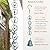 Phaxth Colorful Birds in a Cage Rain Chain for Heavy Rain, Functional and Decorative Replacement Downspout Chain for Outside, Metal Rain Catcher Chain for Gutters, 8.5FT, Antique Blue
