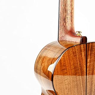 SheIRin Ukulélé de Concert, ukulélé Acoustique 23 Pouces Uke Ukulele Professional Set avec kit de démarrage (Sac de… - Les Beatles, Paul McCartney, John Lennon, RIngo Starr, George Harrison SheIRin Ukulélé de Concert, ukulélé Acoustique 23 Pouces Uke Ukulele Professional Set avec kit de démarrage (Sac de… – Image 3