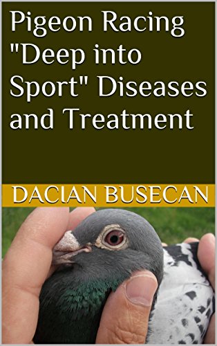 Pigeon Racing Deep Into Sport Diseases And Treatment Kindle Edition By Busecan Dacian Crafts Hobbies Home Kindle Ebooks Amazon Com