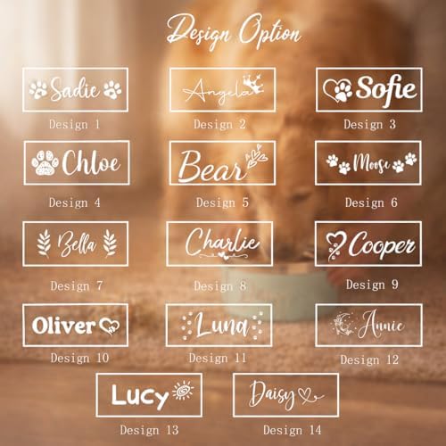 CHOFUN JETRON Personalized Dog Bowls, Custom Engraved with Name & 14 Designs, 304 Stainless Steel Non Slip Pet Bowl, 2 Sizes for Cat Dog, Customized Food Bowl for Dogs Gifts (Orange, L:5.9 * 2.95in) - 2