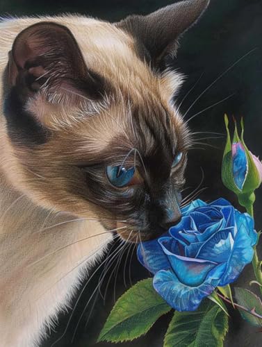 Kits de broderie de perles chat et fleurs 60x80cm pour grand canevas zen