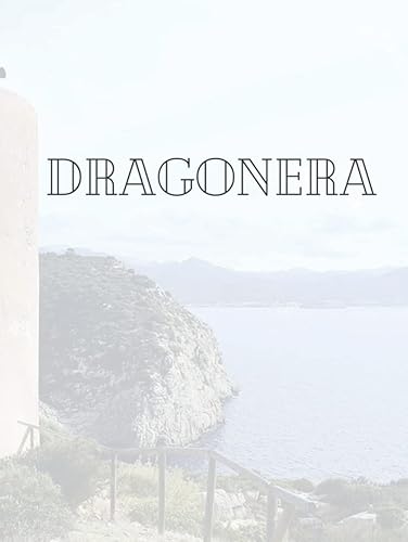DRAGONERA LIBRO DECORATIVO HOJAS EN BLANCO Un libro decorativo para mesas de centro, mesas auxiliares, estanterías y diseño de interiores Libros de