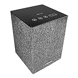 Toshiba TY-GC1000 High Resolution Google Cast Wireless Bluetooth Audio Speaker, Dual 2.5 Driver, Aux Input, and AC/DC Adapter