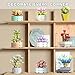 JMBricklayer Flowers Succulents Botanical Valentines Building Sets, Plants Office Home Decor Succulents Bonsai Building Toys, Creative Flowers Building Project for Adults, Gifts Ideas for Girls Women