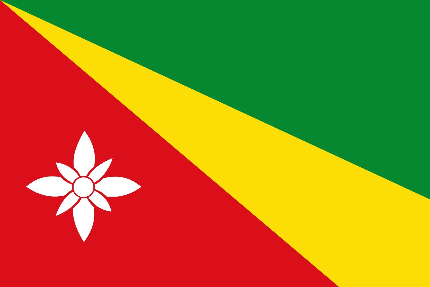 Drapeau Twijzelerheide résistant aux intempéries avec coutures unies