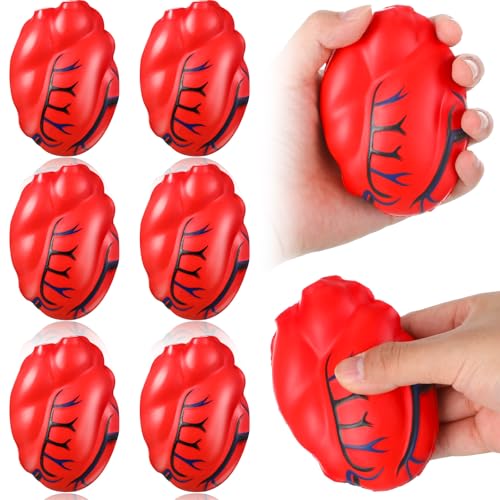 Foilswirl 6 Pcs Anatomical Human Heart Balls, PU Foam