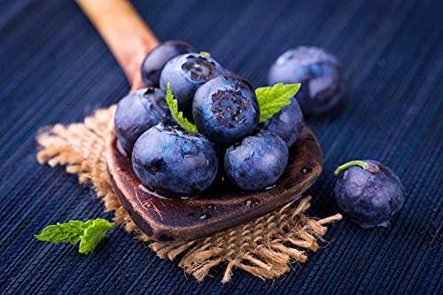Common Bilberry European Blueberry Myrtle Berry 100 Seeds For Planting #TOP6