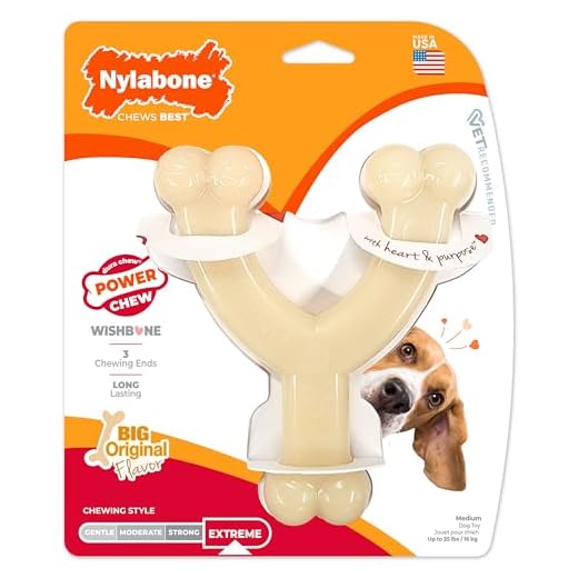 Nylabone Original Wishbone Power Chew Toy for Dogs, Dog Toys for Aggressive Chewers, Original Flavor, Medium - Up to 35 lbs, 1 Count