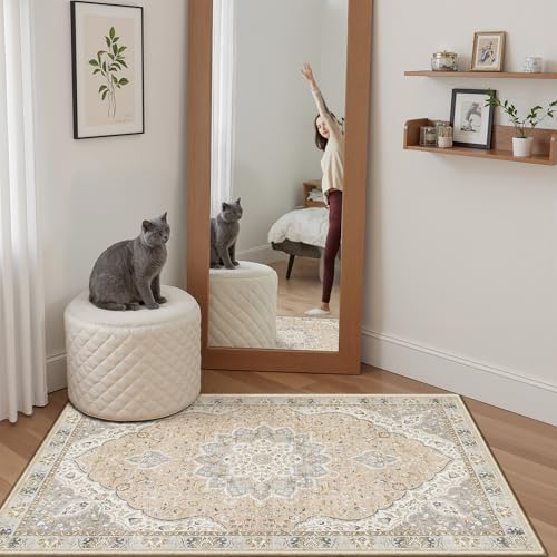 Madane Washable Area Rug 2x3, Small Entryway Rug Non-Slip Vintage Door Mat Indoor Entrance, Low Pile Floor Carpet for Inside Front Door Bedroom Kitchen Entry Laundry (2'x3', Pink/Gray)