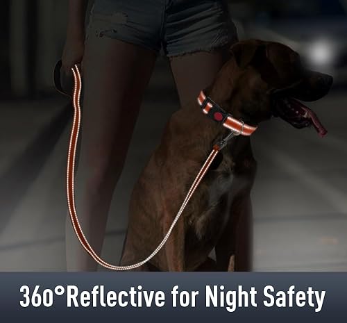 Miniatura 4 de Erbine Airtag - Collar de perro para perros pequeños, collares reflectantes con soporte para AirTag, hebilla de bloqueo de seguridad acolchada suave