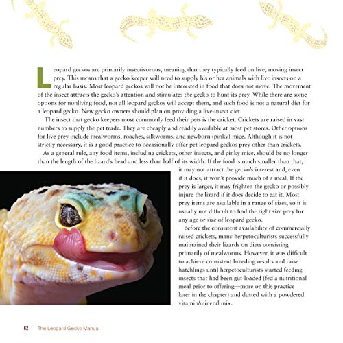 The Leopard Gecko Manual, 2nd Edition (CompanionHouse Books) Informative Guide to Care, Diet, Habitat, Breeding, Raising Hatchlings, Recognizing Diseases & Health Issues, Shedding, Tail Loss, and More