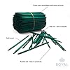 Royal Imports Green Wood Plant Stake, Floral Picks, Wooden Sign Posting Garden Sticks (Approx 100 Pcs) - 8 Inch #3