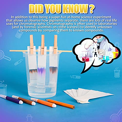 Lostronaut 2FTPK50XXXX Paper Chromatography Experiment Kit thumb #3