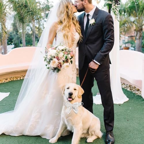 Tie KTWSUEF Hundehalsband Fliege Samtige, Fliege für Hunde, Komfortable Haltbarkeit Halsband Hund, Abnehmbares und verstellbares Fliege Hunde Für Hochzeiten, Geburtstage, Festliche