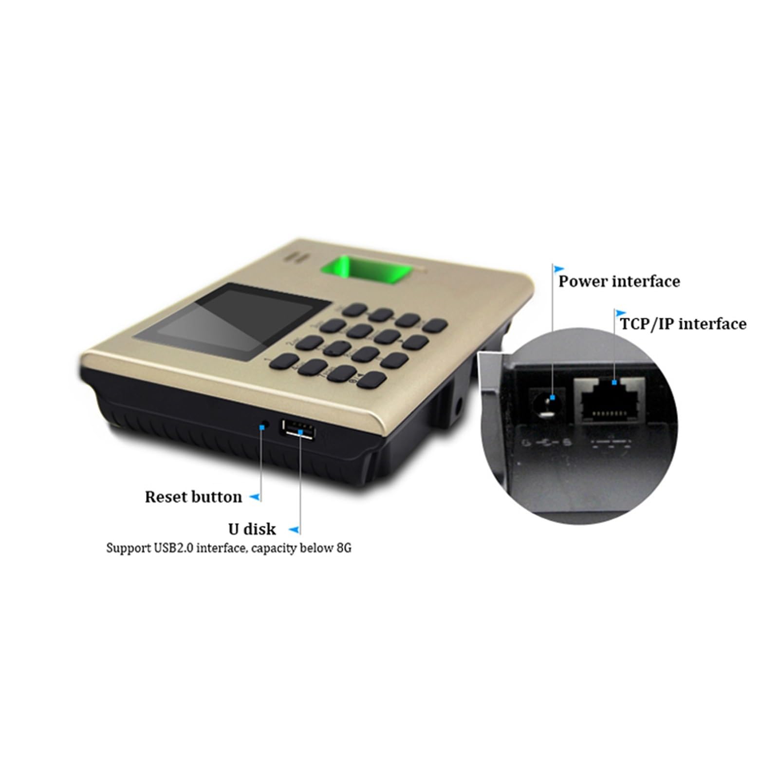 Zegary czasu pracowników, USB/IP Karta RFID Rozpoznawanie linii papilarnych Rejestrator czasu pracy Wbudowana bateria(K40)