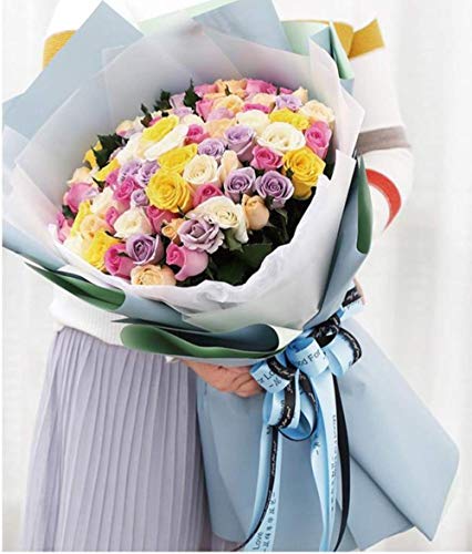 Leoyoubei 24 folhas de papel de embrulho de flores de 6 cores, papel de embrulho floral à prova d'á