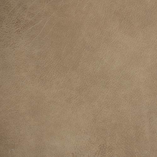 Amazon Brand – Rivet Frederick Mid-Century Channel Tufted Leather Sofa Couch, 77.5"W, Taupe #TOP4