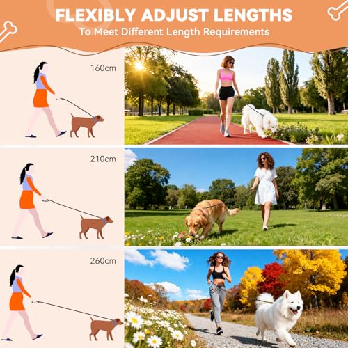 Hundeleine 3 M mit Weichem Griff, Verstellbar Schleppleine für Mittel- & Großhunde (20-60kg), Reflektierend mit Verschiebbaren Sicherheitsringen, Multifunktional Doppelleine für Spaziergang Training