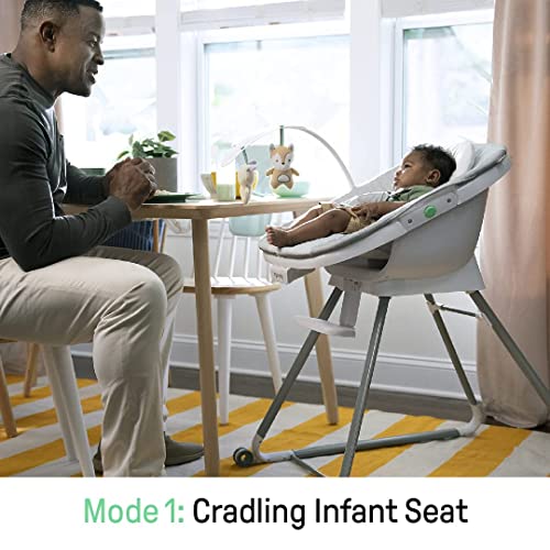 Image of Ingenuity Beanstalk Baby to Big Kid 6-in-1 High Chair Converts from Soothing Infant Seat to Dining Booster Seat and more, Newborn to 5 Yrs - Ray