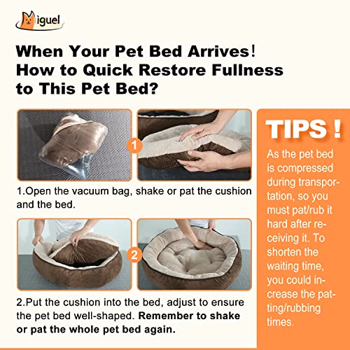 Miguel Round Cat Bed For Indoor Cat With Removable Pillow Cushion Washable Dount Bolster Dog Bed For Small Dog With Side Anti-Anxiety Circle Puppy Kitten Cuddler Soft Bed(22",Gray) #TOP7