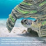 BAOSROY B0FRFBBB6S lato 4