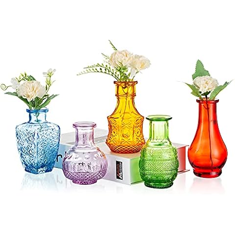 Glasseam Small Glass Flower Vase Vintage: Mini Bud Sweet Pea Vases Set of 5 Crystal Coloured Rustic for Living Room Dining Table Wedding Centrepiece Indoor Bedroom Decoration Cover