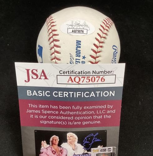 Amazon.com: Bernie Williams Signed Baseball AHS Yankees Autograph
