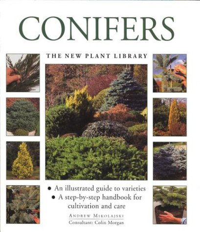 Conifers: The Little Plant Library Series: The Southwater Editors ...