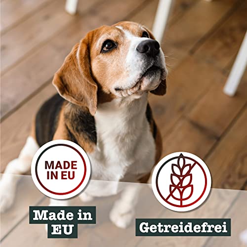 Chewies Lucky Bits Tasty Hundeleckerli Mix Adult - Hunde-Leckerlis getreidefrei & Soft mit viel Protein und Superfoods wie Bierhefe oder Ginkgo, ohne Zucker (100 g)